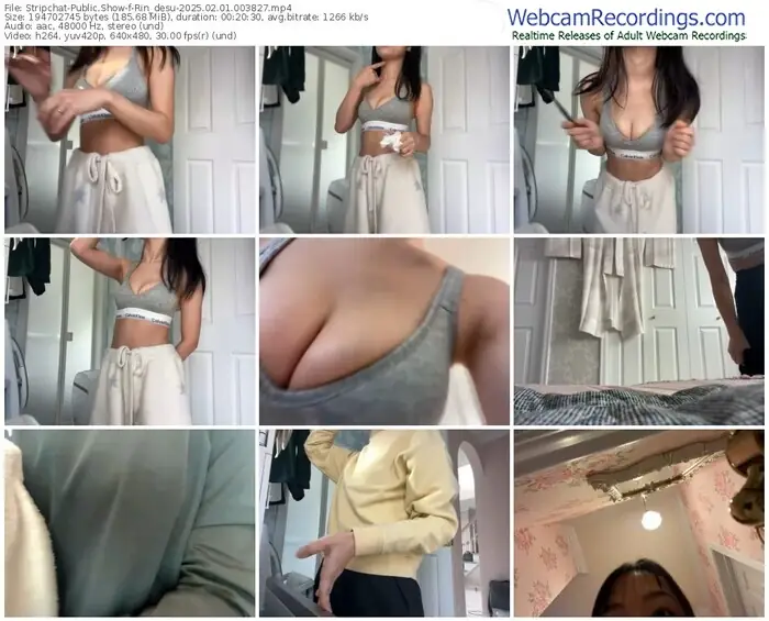 stripchat-rin_desu-02-01-2025-00-38-27