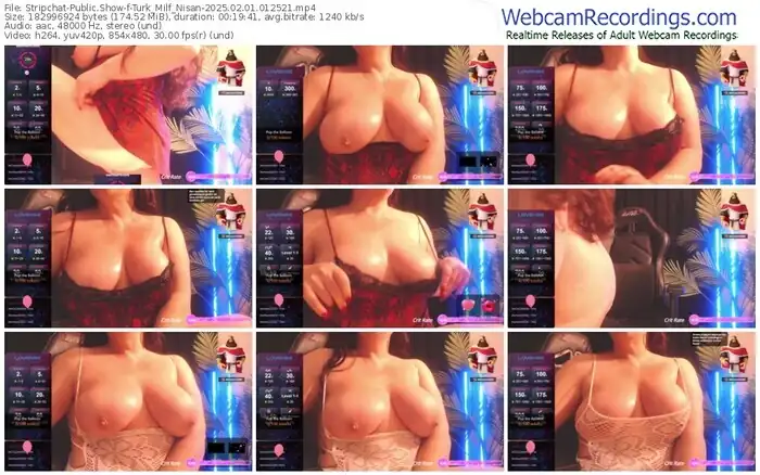 stripchat-turk_milf_nisan-02-01-2025-01-25-21