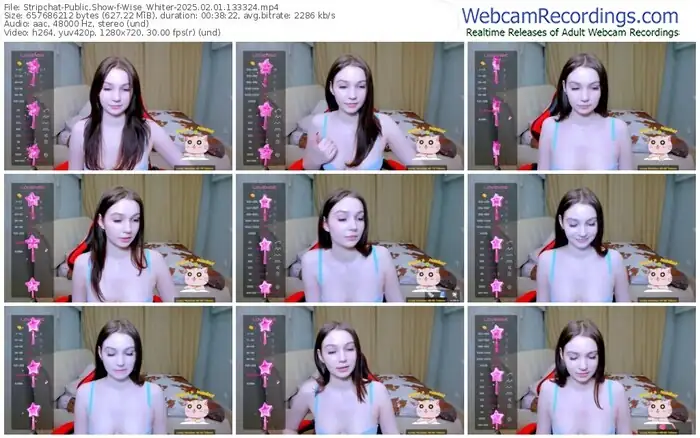 stripchat-wise_whiter-02-01-2025-13-33-24