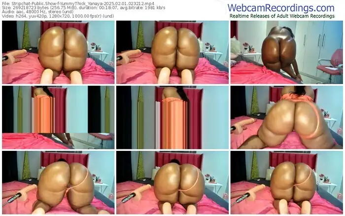 stripchat-yummythick_yanaya-02-01-2025-02-32-12
