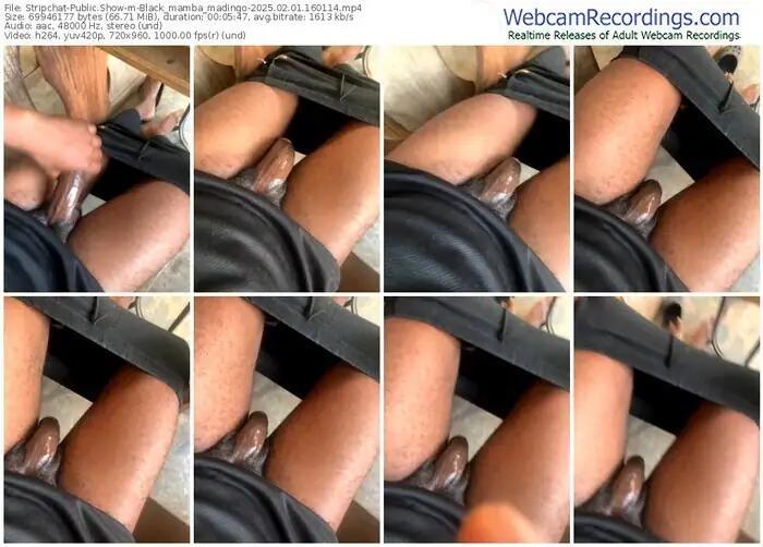 stripchat-black_mamba_madingo-02-01-2025-16-01-14