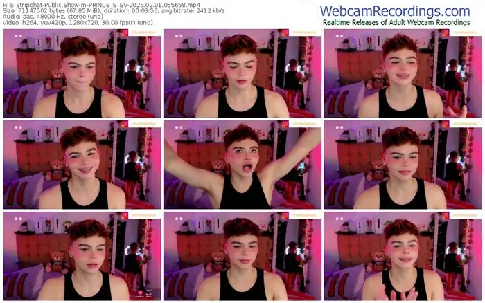 stripchat-prince_stev-02-01-2025-05-56-58