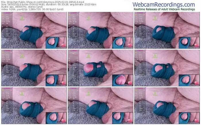 stripchat-controlmytoys-02-01-2025-08-54-14