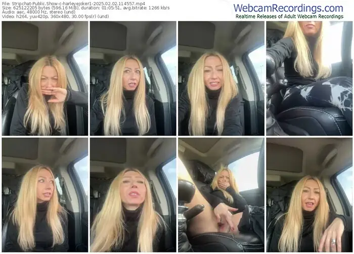 stripchat-harleyejoker1-02-02-2025-11-45-57