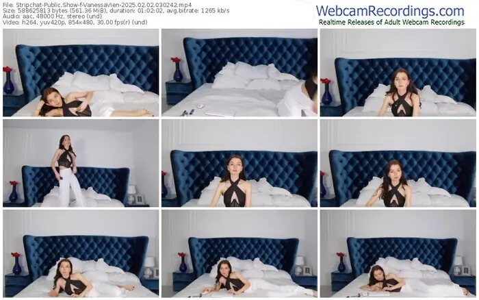 stripchat-vanessavien-02-02-2025-03-02-42