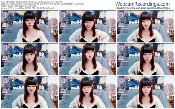 stripchat-a0513-02-02-2025-19-47-43