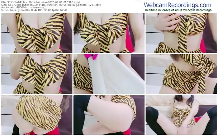 stripchat-misa-a-02-02-2025-01-03-10