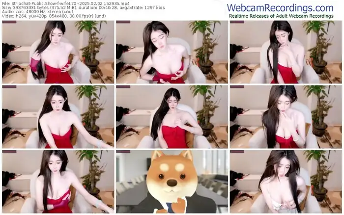 stripchat-wife170--02-02-2025-15-29-35