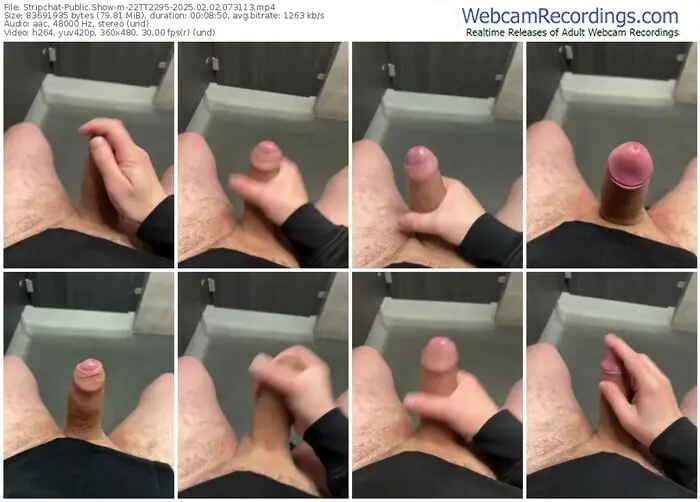 stripchat-22tt2295-02-02-2025-07-31-13