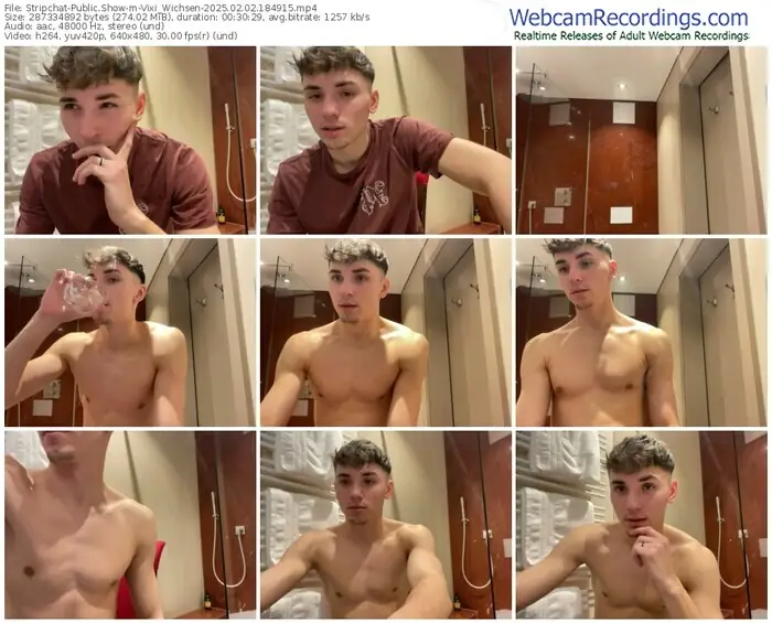 stripchat-vixi_wichsen-02-02-2025-18-49-15