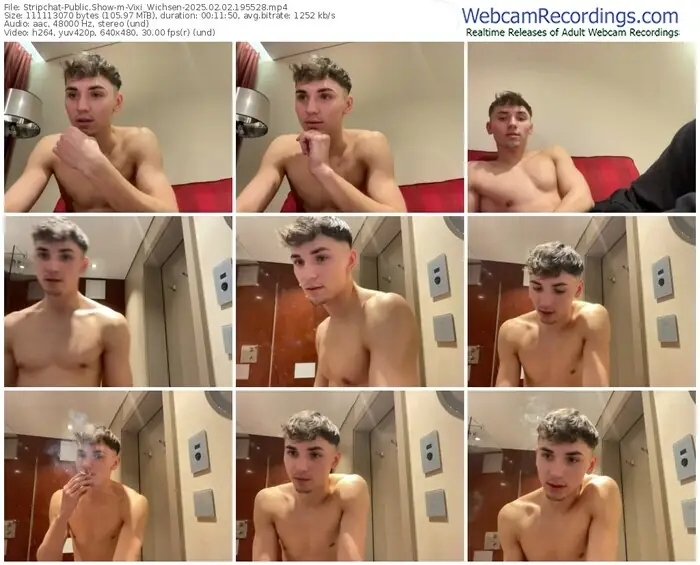 stripchat-vixi_wichsen-02-02-2025-19-55-28