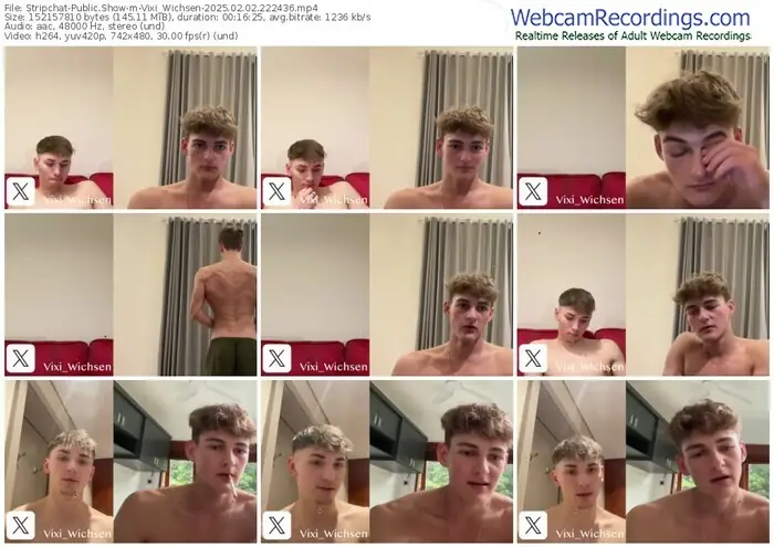 stripchat-vixi_wichsen-02-02-2025-22-24-36