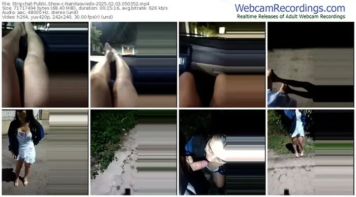 stripchat-nanitaoviedo-02-03-2025-05-03-52