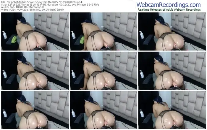 stripchat-roxy-smith-02-03-2025-02-08-56