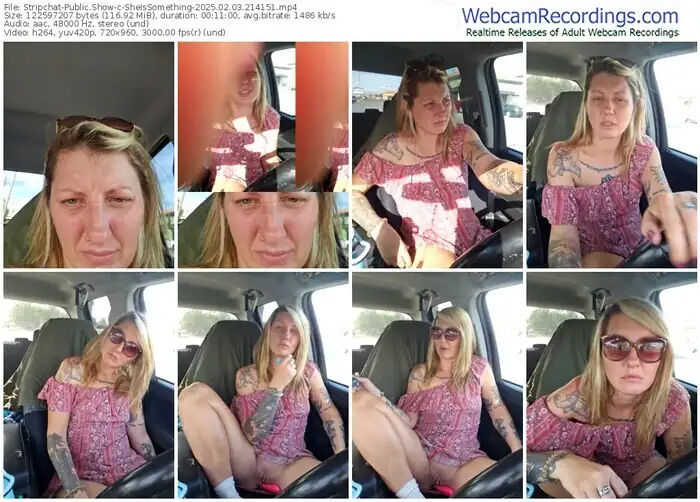 stripchat-sheissomething-02-03-2025-21-41-51