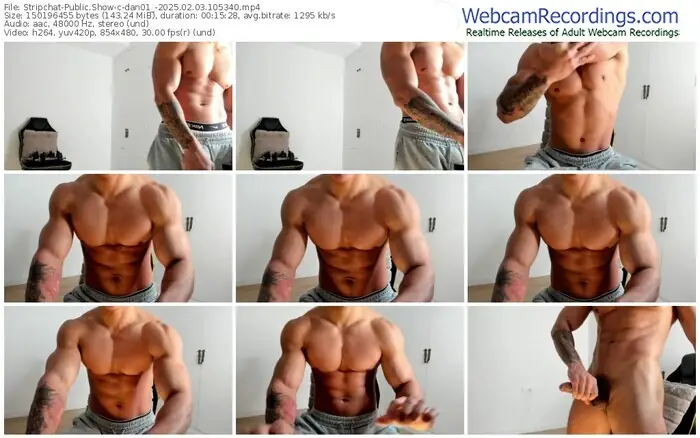 stripchat-dan01_-02-03-2025-10-53-40