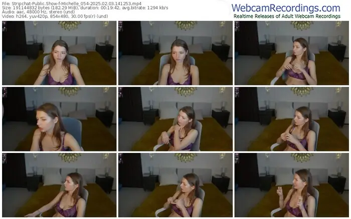 stripchat-michelle_054-02-03-2025-14-12-53