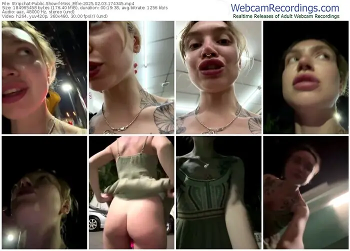 stripchat-miss_elfie-02-03-2025-17-43-45
