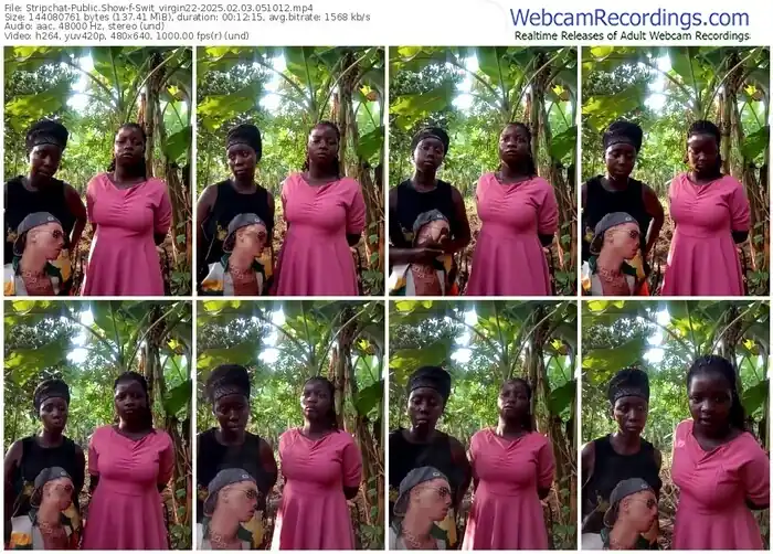 stripchat-swit_virgin22-02-03-2025-05-10-12