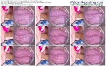 stripchat-danigirl866-02-03-2025-21-55-25