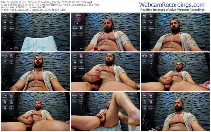 stripchat-david_big_daddy-02-03-2025-03-12-29
