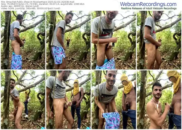 stripchat-nicolasmave-02-03-2025-16-26-38