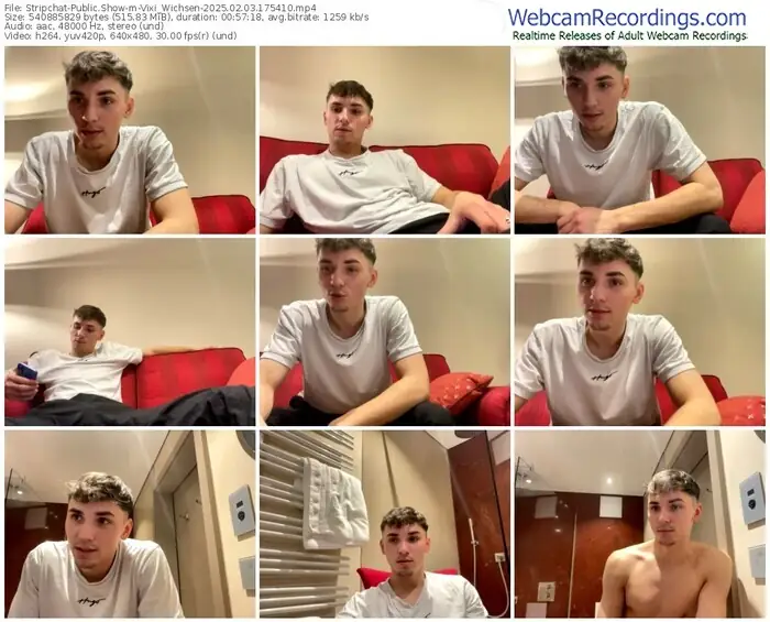 stripchat-vixi_wichsen-02-03-2025-17-54-10