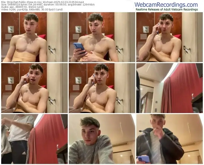 stripchat-vixi_wichsen-02-03-2025-21-05-34