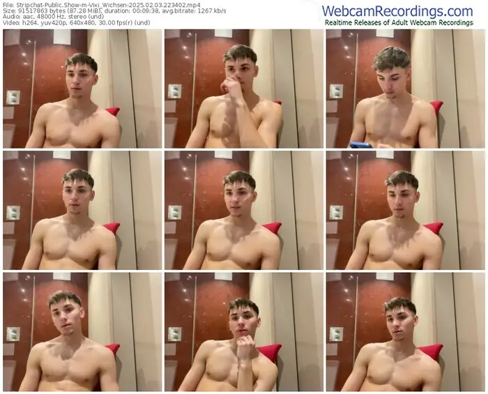 stripchat-vixi_wichsen-02-03-2025-22-34-02