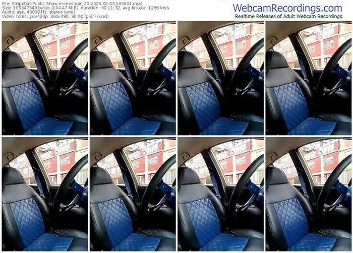 stripchat-mosmar_20-02-03-2025-16-36-04