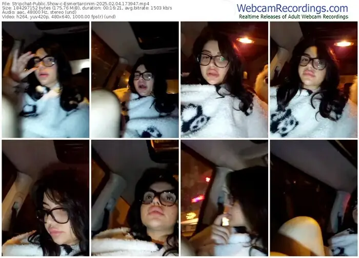 stripchat-esmertarcinim-02-04-2025-17-39-47