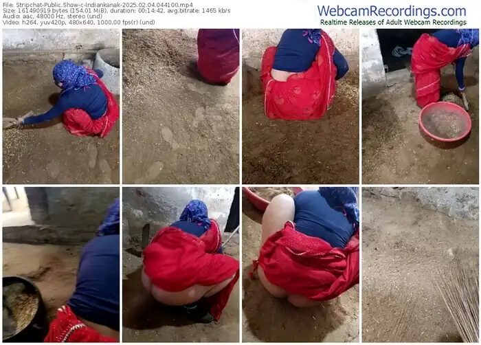 stripchat-indiankanak-02-04-2025-04-41-00