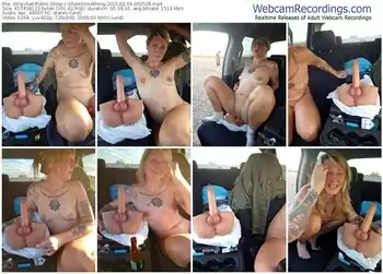 stripchat-sheissomething-02-04-2025-00-25-28