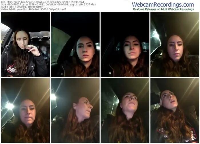 stripchat-pleasure_of_life-02-04-2025-18-58-38