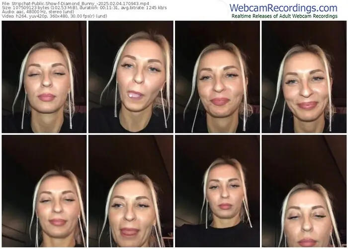 stripchat-diamond_bunny_-02-04-2025-17-09-43