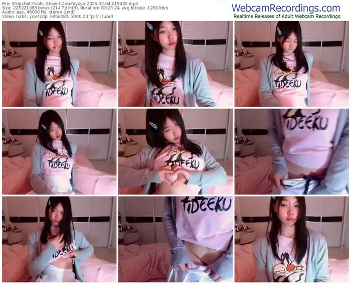 stripchat-dou-yayaya-02-04-2025-01-54-32