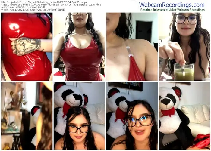 stripchat-gabriela_mejia-02-04-2025-00-46-01