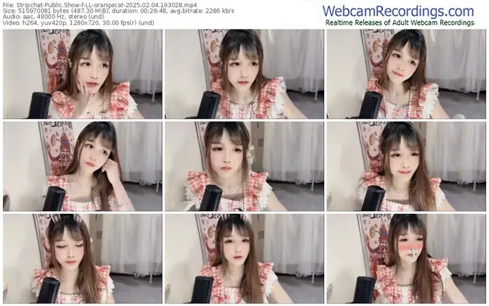 stripchat-ll-orangecat-02-04-2025-19-30-28