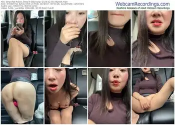 stripchat-sssniang--02-04-2025-06-20-09