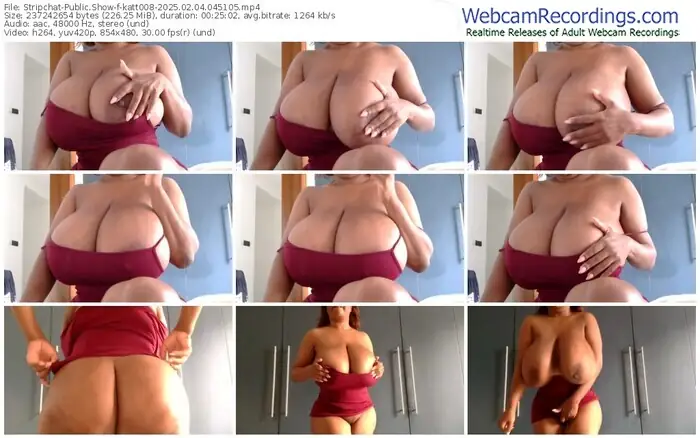 stripchat-katt008-02-04-2025-04-51-05