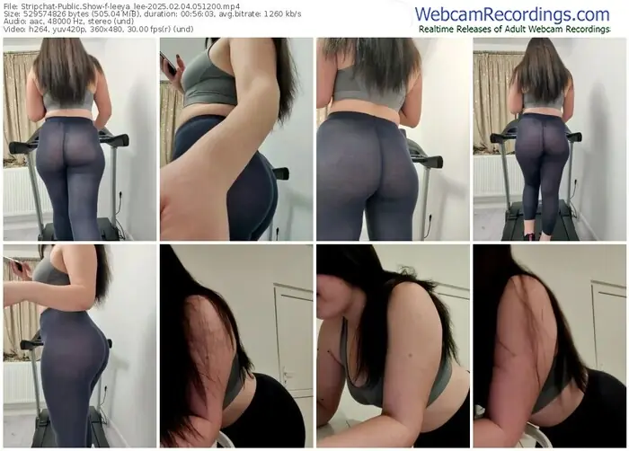 stripchat-leeya_lee-02-04-2025-05-12-00