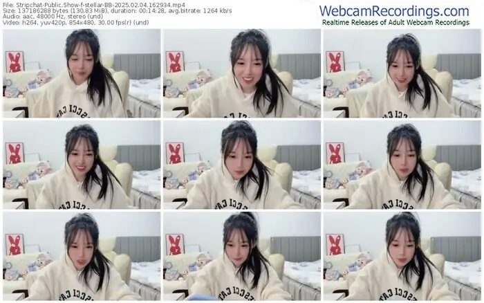 stripchat-stellar-bb-02-04-2025-16-29-34