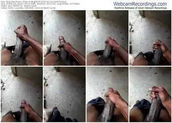 stripchat-bigd634-02-04-2025-16-09-39