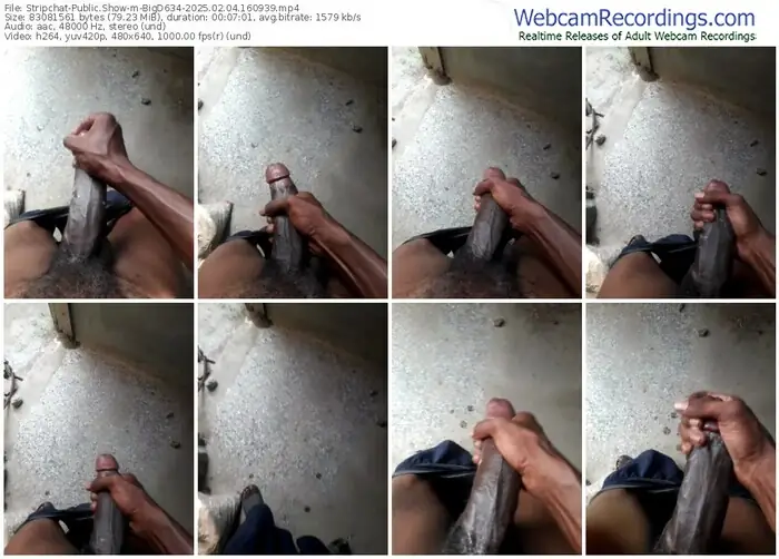 stripchat-bigd634-02-04-2025-16-09-39
