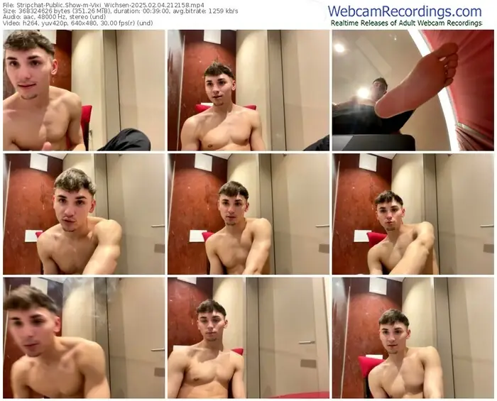 stripchat-vixi_wichsen-02-04-2025-21-21-58