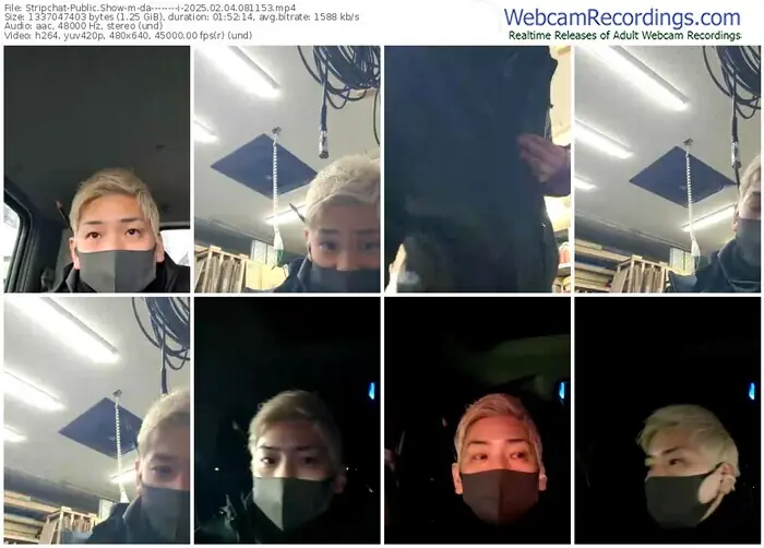 stripchat-da--------i-02-04-2025-08-11-53