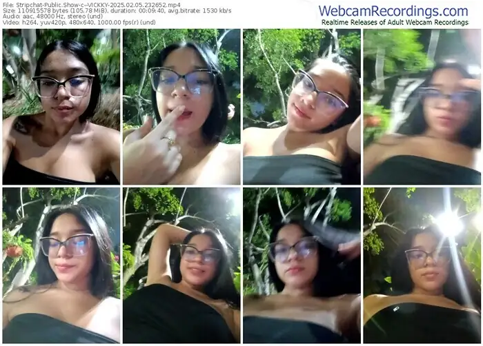 stripchat--vickky-02-05-2025-23-26-52