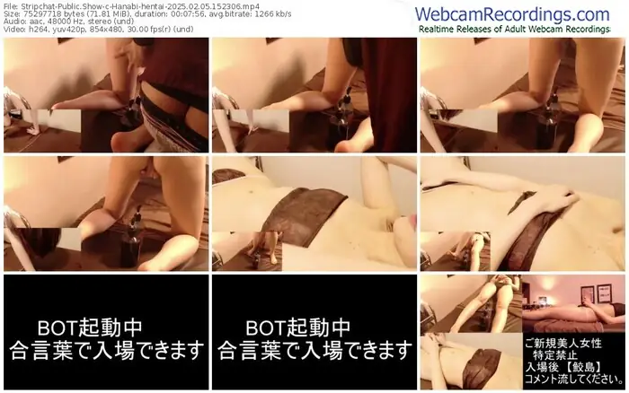 stripchat-hanabi-hentai-02-05-2025-15-23-06