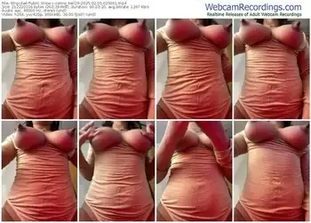 stripchat-celine_bell20-02-05-2025-02-59-01