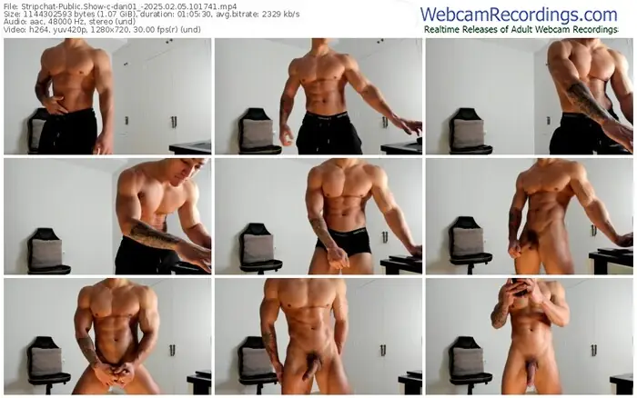 stripchat-dan01_-02-05-2025-10-17-41